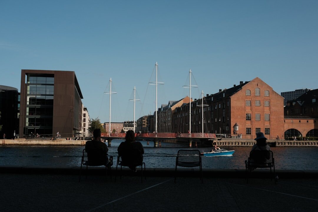 Two Danish business professionals having a consulting meeting